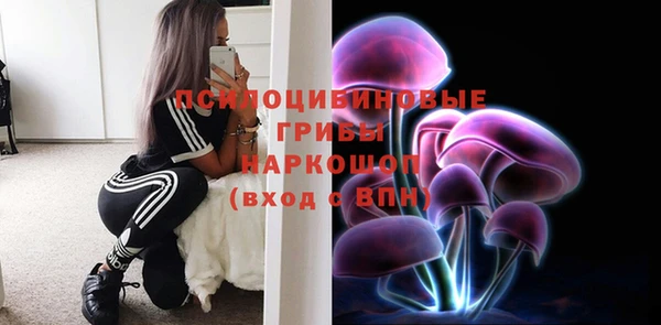ПСИЛОЦИБИНОВЫЕ ГРИБЫ Балахна