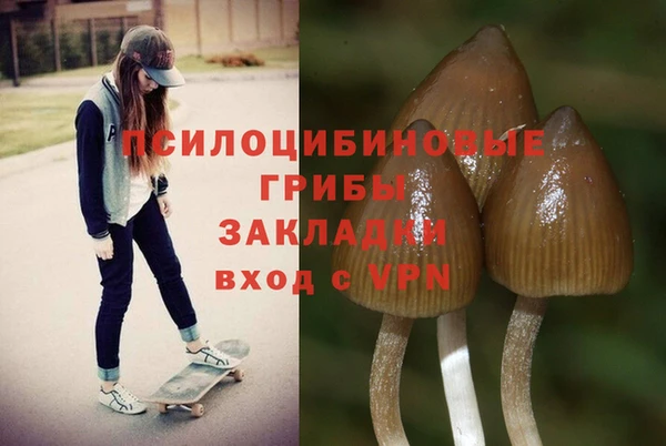 не бодяженный Баксан