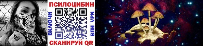 Галлюциногенные грибы Psilocybe Бирск